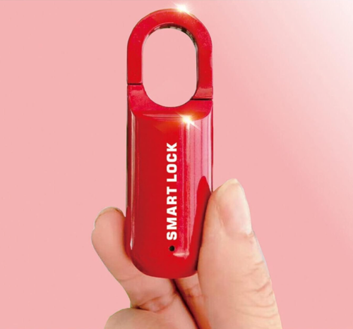 Mini Fingerprint Padlock Smart Pad Lock